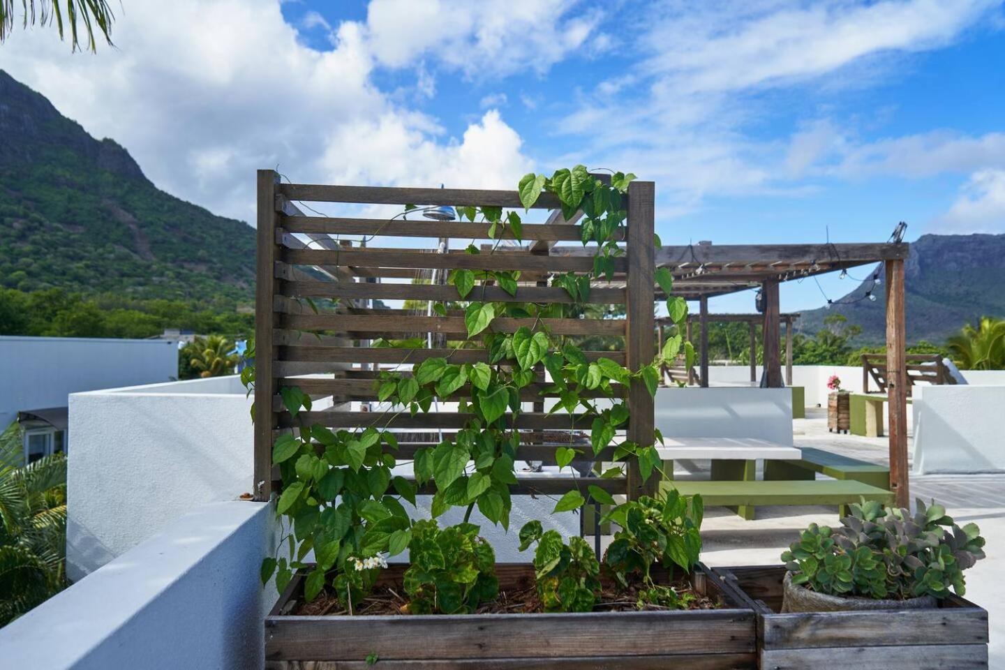 Loukaz -Entire Rental Units W Panoramic Rooftop Coteau Raffin Exterior foto